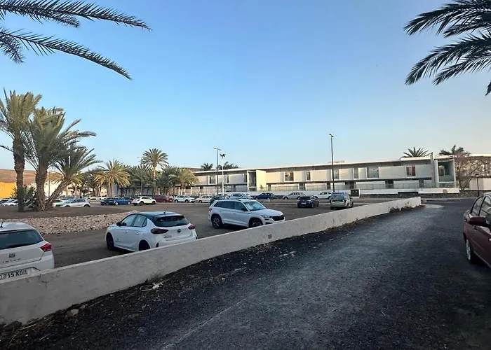 Palmeras Del Sol *